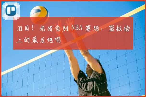 泪目！老将告别 NBA 赛场，篮板榜上的最后绝唱