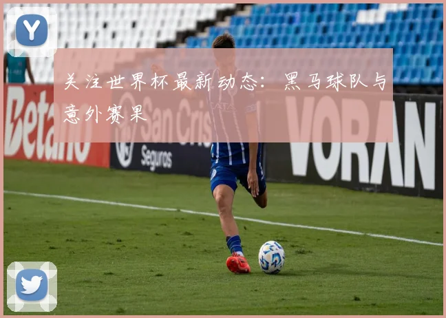 关注世界杯最新动态:黑马球队与意外赛果