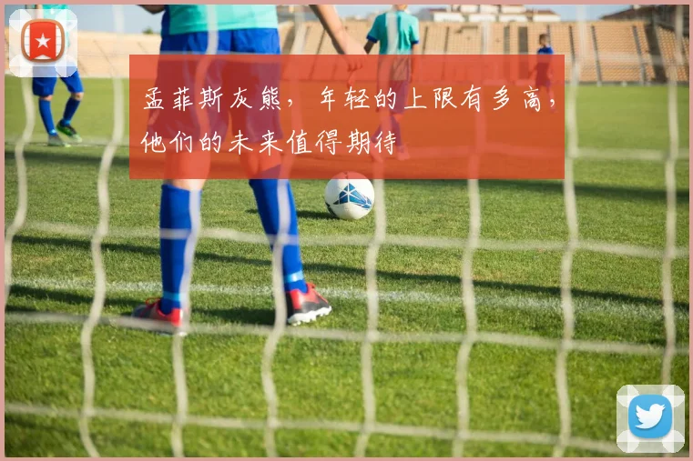 孟菲斯灰熊,年轻的上限有多高,他们的未来值得期待