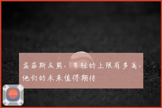 孟菲斯灰熊，年轻的上限有多高，他们的未来值得期待